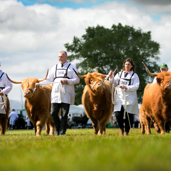 The Great Yorkshire Show